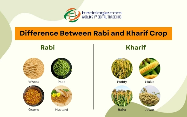 difference-between-rabi-and-kharif-crop